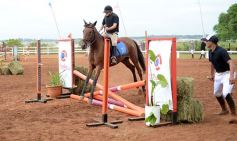 Foto de la galería: Talento misionero presente en torneo de equitación en Posadas