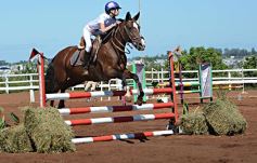 Foto de la galería: Talento misionero presente en torneo de equitación en Posadas