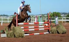 Foto de la galería: Talento misionero presente en torneo de equitación en Posadas