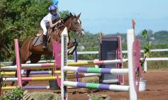 Foto de la galería: Talento misionero presente en torneo de equitación en Posadas