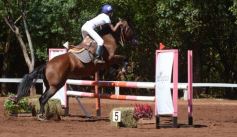 Foto de la galería: Talento misionero presente en torneo de equitación en Posadas