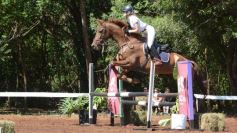 Foto de la galería: Talento misionero presente en torneo de equitación en Posadas