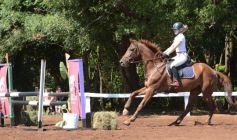Foto de la galería: Talento misionero presente en torneo de equitación en Posadas