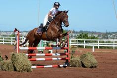 Foto de la galería: Talento misionero presente en torneo de equitación en Posadas