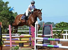Foto de la galería: Talento misionero presente en torneo de equitación en Posadas