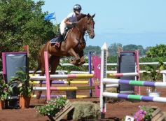 Foto de la galería: Talento misionero presente en torneo de equitación en Posadas