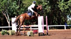 Foto de la galería: Talento misionero presente en torneo de equitación en Posadas