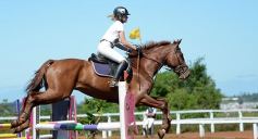 Foto de la galería: Talento misionero presente en torneo de equitación en Posadas