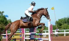 Foto de la galería: Talento misionero presente en torneo de equitación en Posadas