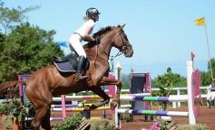 Foto de la galería: Talento misionero presente en torneo de equitación en Posadas