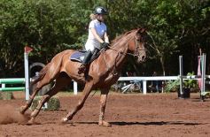 Foto de la galería: Talento misionero presente en torneo de equitación en Posadas