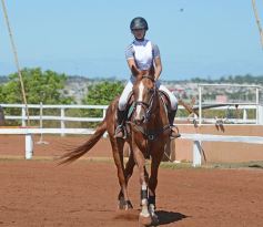 Foto de la galería: Talento misionero presente en torneo de equitación en Posadas