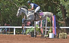 Foto de la galería: Talento misionero presente en torneo de equitación en Posadas
