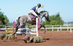 Foto de la galería: Talento misionero presente en torneo de equitación en Posadas