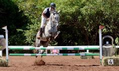 Foto de la galería: Talento misionero presente en torneo de equitación en Posadas