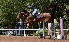 Foto de la galería: Talento misionero presente en torneo de equitación en Posadas