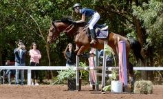 Foto de la galería: Talento misionero presente en torneo de equitación en Posadas