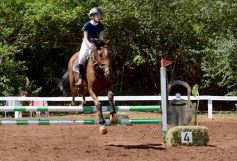 Foto de la galería: Talento misionero presente en torneo de equitación en Posadas