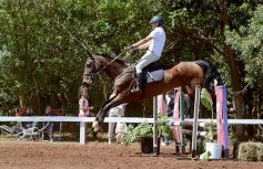 Foto de la galería: Talento misionero presente en torneo de equitación en Posadas
