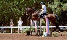 Foto de la galería: Talento misionero presente en torneo de equitación en Posadas