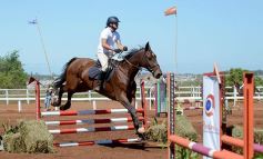 Foto de la galería: Talento misionero presente en torneo de equitación en Posadas