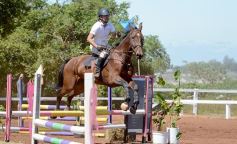 Foto de la galería: Talento misionero presente en torneo de equitación en Posadas
