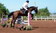 Foto de la galería: Talento misionero presente en torneo de equitación en Posadas