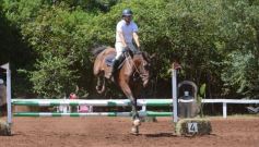 Foto de la galería: Talento misionero presente en torneo de equitación en Posadas