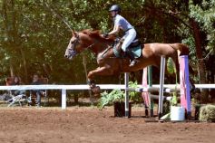 Foto de la galería: Talento misionero presente en torneo de equitación en Posadas