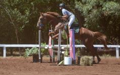 Foto de la galería: Talento misionero presente en torneo de equitación en Posadas