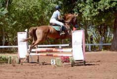 Foto de la galería: Talento misionero presente en torneo de equitación en Posadas