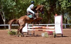 Foto de la galería: Talento misionero presente en torneo de equitación en Posadas