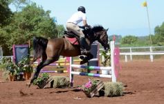 Foto de la galería: Talento misionero presente en torneo de equitación en Posadas