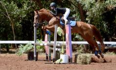 Foto de la galería: Talento misionero presente en torneo de equitación en Posadas