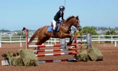 Foto de la galería: Talento misionero presente en torneo de equitación en Posadas