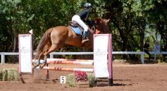 Foto de la galería: Talento misionero presente en torneo de equitación en Posadas