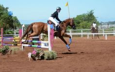 Foto de la galería: Talento misionero presente en torneo de equitación en Posadas