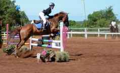 Foto de la galería: Talento misionero presente en torneo de equitación en Posadas