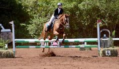 Foto de la galería: Talento misionero presente en torneo de equitación en Posadas