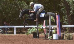 Foto de la galería: Talento misionero presente en torneo de equitación en Posadas
