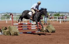 Foto de la galería: Talento misionero presente en torneo de equitación en Posadas
