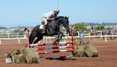 Foto de la galería: Talento misionero presente en torneo de equitación en Posadas