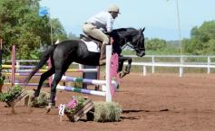 Foto de la galería: Talento misionero presente en torneo de equitación en Posadas