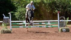 Foto de la galería: Talento misionero presente en torneo de equitación en Posadas