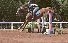 Foto de la galería: Talento misionero presente en torneo de equitación en Posadas