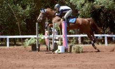 Foto de la galería: Talento misionero presente en torneo de equitación en Posadas