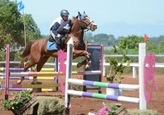 Foto de la galería: Talento misionero presente en torneo de equitación en Posadas
