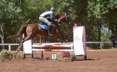 Foto de la galería: Talento misionero presente en torneo de equitación en Posadas