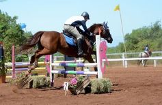 Foto de la galería: Talento misionero presente en torneo de equitación en Posadas