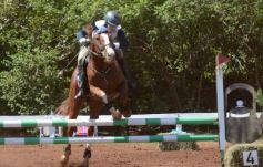 Foto de la galería: Talento misionero presente en torneo de equitación en Posadas